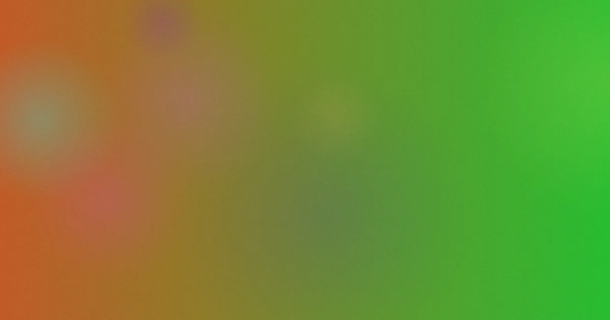 张泉灵个人资料测评：查资料别掉坑