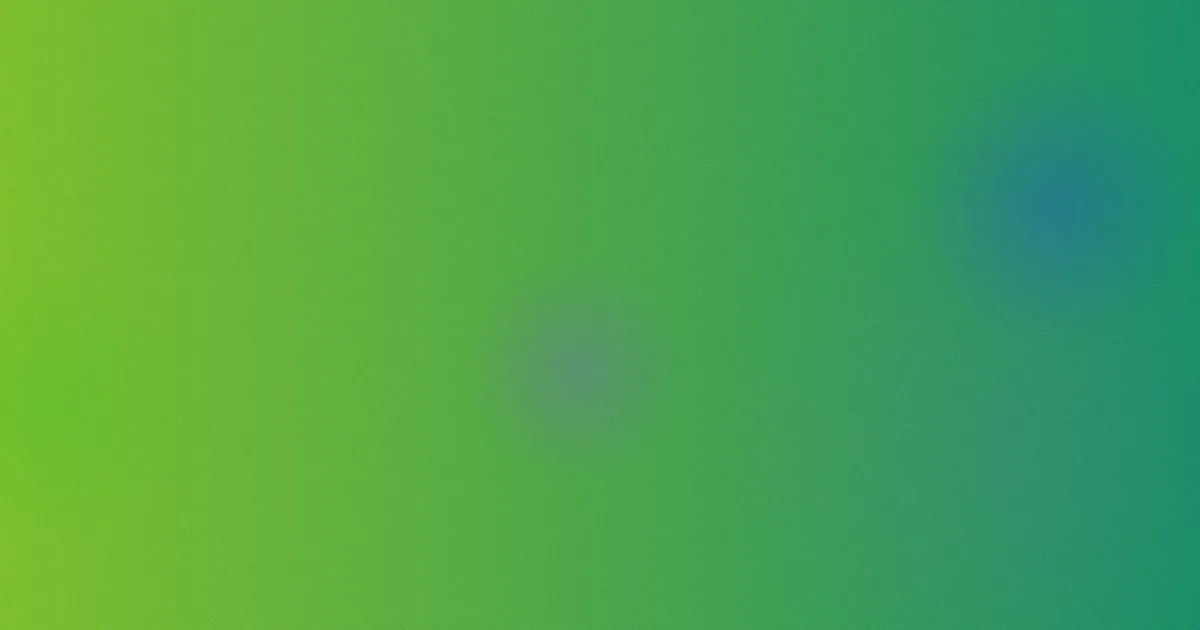 成年免费视频测评避坑流程